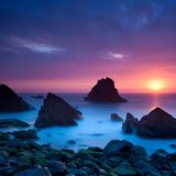 Samsara - Purple Sunrise