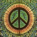 The Acid Flashback - 23/07/15