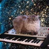The Voice Mix