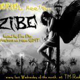 THERIEL meets....Zibe (Fro Ptr's mix)