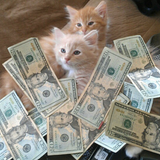 #boutthatlife