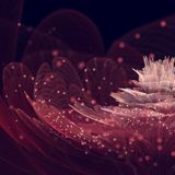 Remission_012