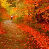 Traktmouse - Autumn in action (Deep&Progressive Mix)