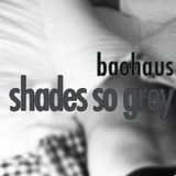 Shades so grey