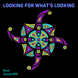Looking For What's Looking