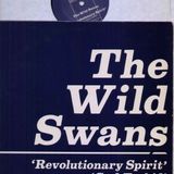 INDIE LABEL POSTCARDS 1979-83