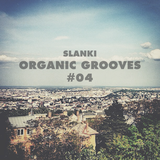 Organic Grooves #04