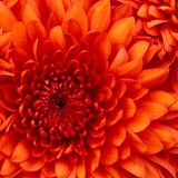 Mixed Blessings 27 June 2013
