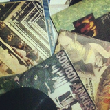 duvinil