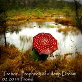Trebor - Prophecy of a deep Dream 02.2014