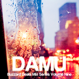 Buzzard Beats Mix Series Volume Nine: Damu