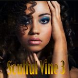 DJ-SPINMASTER - Soulful Vine Vol 3