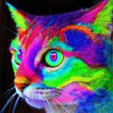 NOISEBUILDER - RARE - ELECTRO MIX - REMASTERED - ARCHIVE 2000