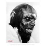 Werewolf - Sounds of the Canyon