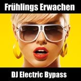 Frühlings Erwachen by Electric Bypass