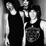 Interview with William Mecum from Karma To Burn