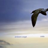 Ambient-Angel (132)