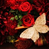 Your Love Is Good Mixed by K.CBU