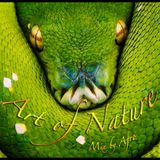 ART of Nature vol.1
