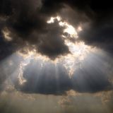 Sunbeams And The Rain