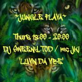 www.dreamfmk.com - dj sweeny tod - mc jki jungle set 21/8/14
