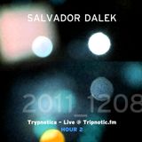 Day 065.03 : ReFresh - Salvador Dalek Live (2011_1208) at Tripnotic.fm... Hour 2