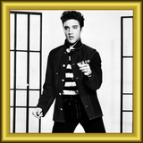 Hall of Fame: Elvis Presley