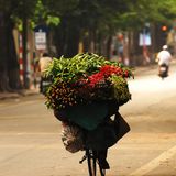 Cafe Blog số 1 - Hà Nội trong tôi