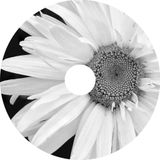 STRISC. Promo Mix | March 2015