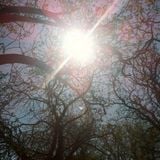 Sky's the limit