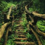Mario Nier - Psychedelic Earthsounds (30.01.2016)