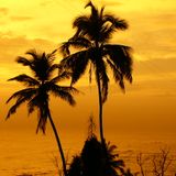 Kazuki - Summer 2015/16 Techno Mix