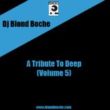 Dj Blond Boche "A Tribute To Deep (Volume 5)"