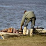 2016-03-15 │Pescadores afectados crecida del río │Jesús Pérez, Asoc. Civil de Pescadores de Santa Fe