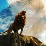 I LION @ PENICHE HENJO meets ZION GATE PT2