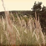 Badre Mix October 2014 (My Swing is Different)