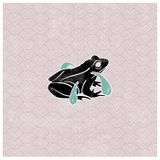 DNNM Mix | Frog