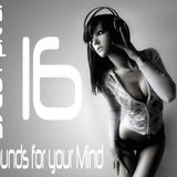 DJ CUT pres. Sounds for your Mind 016