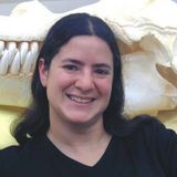 Interview with Professor. Joy Reidenberg