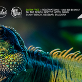 DIMITAR DIMITROV-After Party @ Beach bar Musai@ Sunny Beach (16.08.2015) @ Part 2