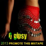 QGipsy2013mix