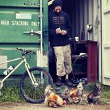Chicken Frame Emporium Mix