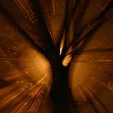 Sysyphe - Under the Wood