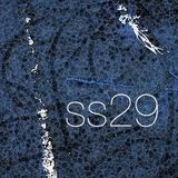 SS:29