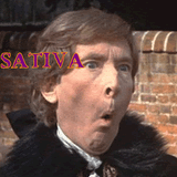 Ooh Matron!