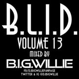 B.L.I.D. VOL.13