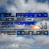 Neil Paranoid (( Liquidcast 38 )) Deep Atmospheric dnb Dj Mix Downloadable 320Kbps