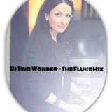 Dj Tina Wonder - The Fluke Mix