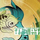 Fish Out Of Water