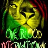 ONE BLOOD INTERNATIONAL SOUNDSYSTEM - VYBES RADIO SHOW - 28/10/2012 - DJ ONE - DJ P.T - DJ GIN-JAH